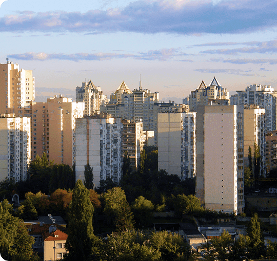 image-соломʼянка